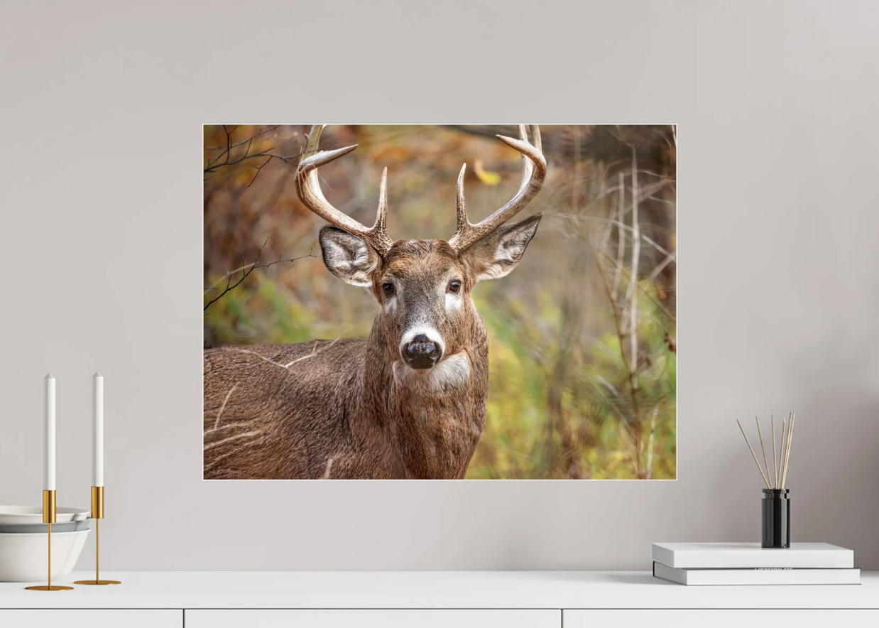 Glas Canvas